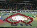 dtf2009_stadiongala.jpg
