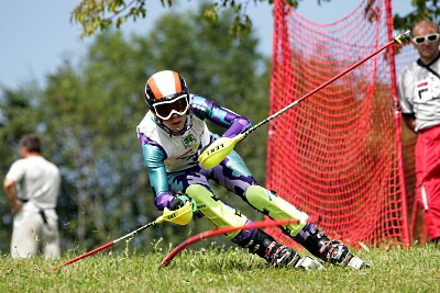 fis_2011_jonas