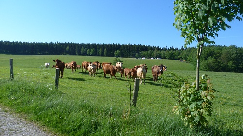 zeltlager_2012_14